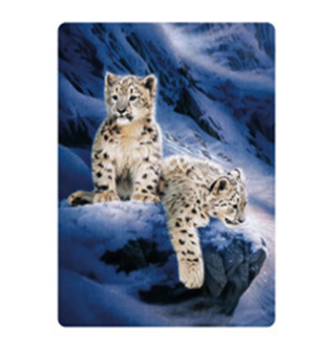 Obrázek z Pohlednice 3D 16cm - sněžní leopardí (25) 